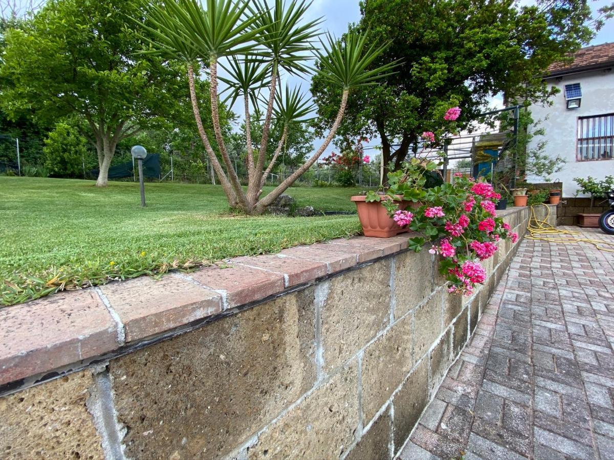 Bed and Breakfast A Casa Di Nonna Emilia Campagna Zewnętrze zdjęcie
